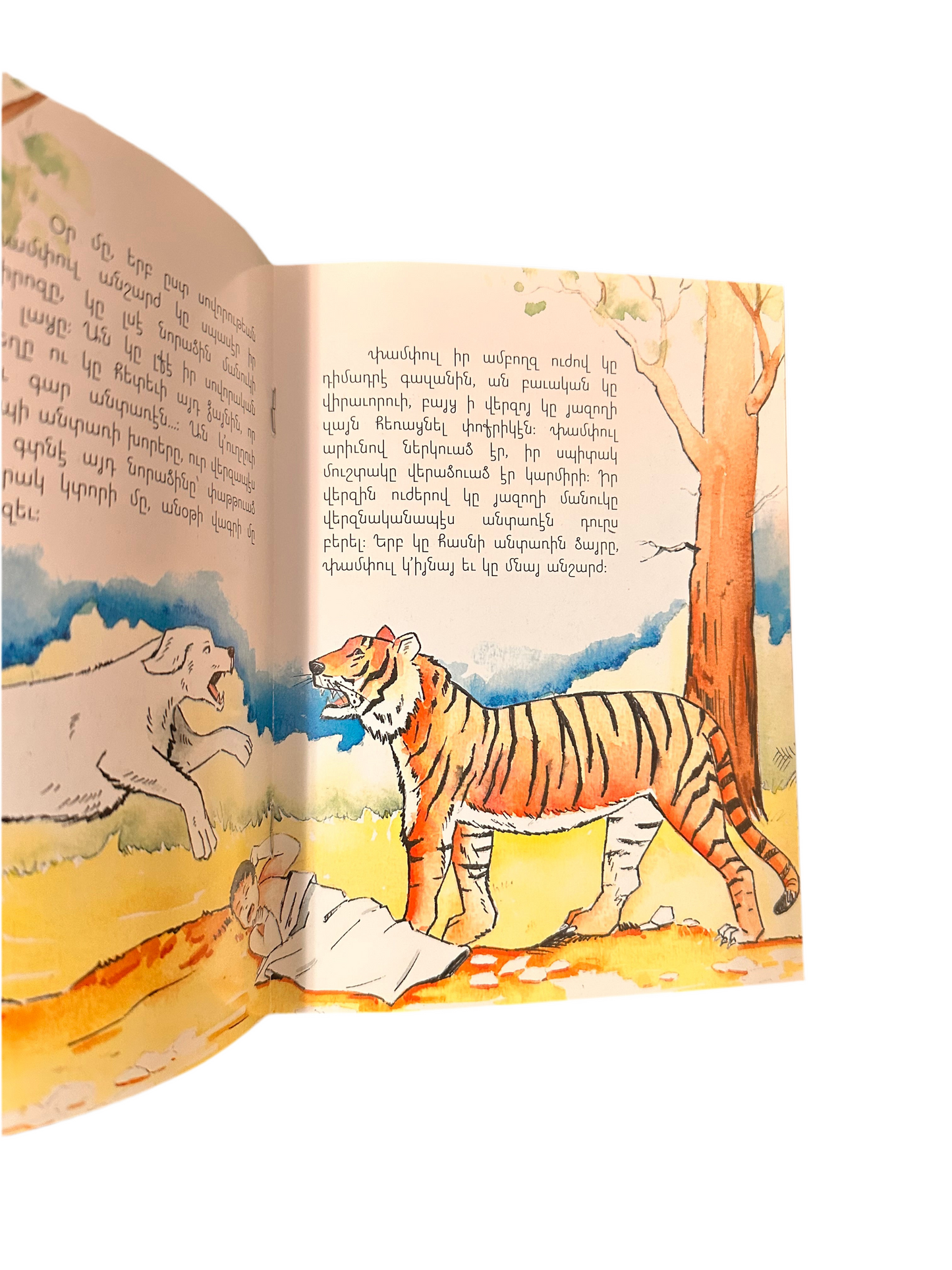 Գէլօն ու Փամփուլը