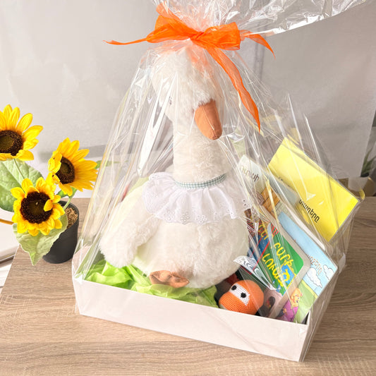Welcome Baby Gift