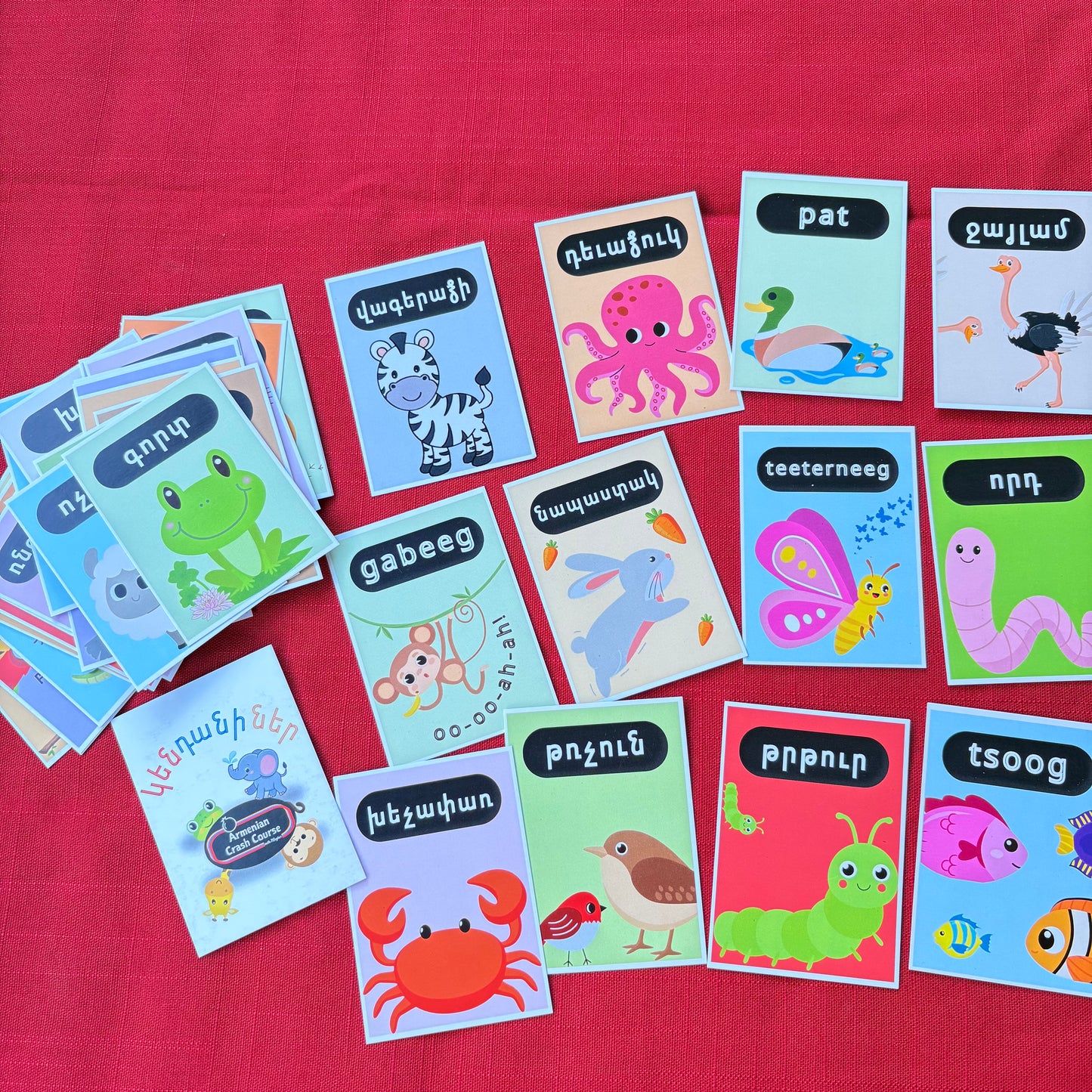 Armenian Animal Flashcards