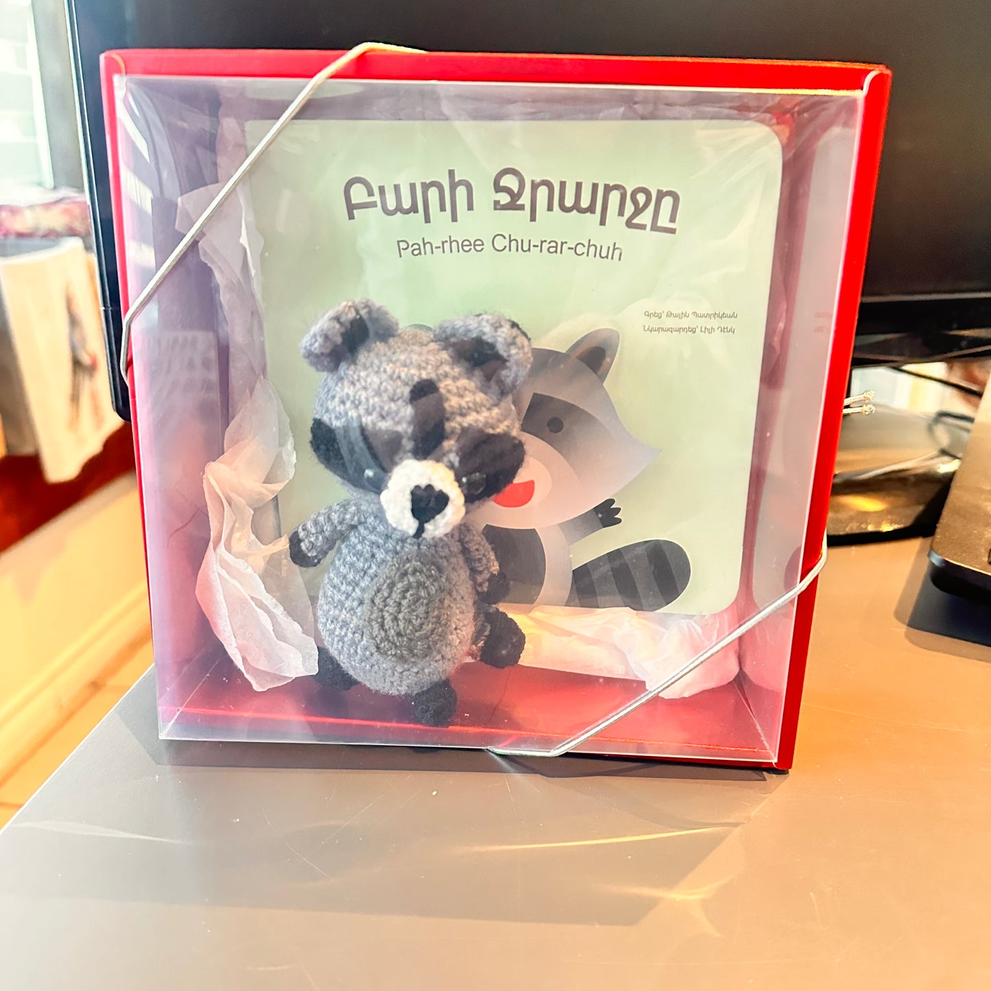 Kind Raccoon - Բարի Ջրարջը