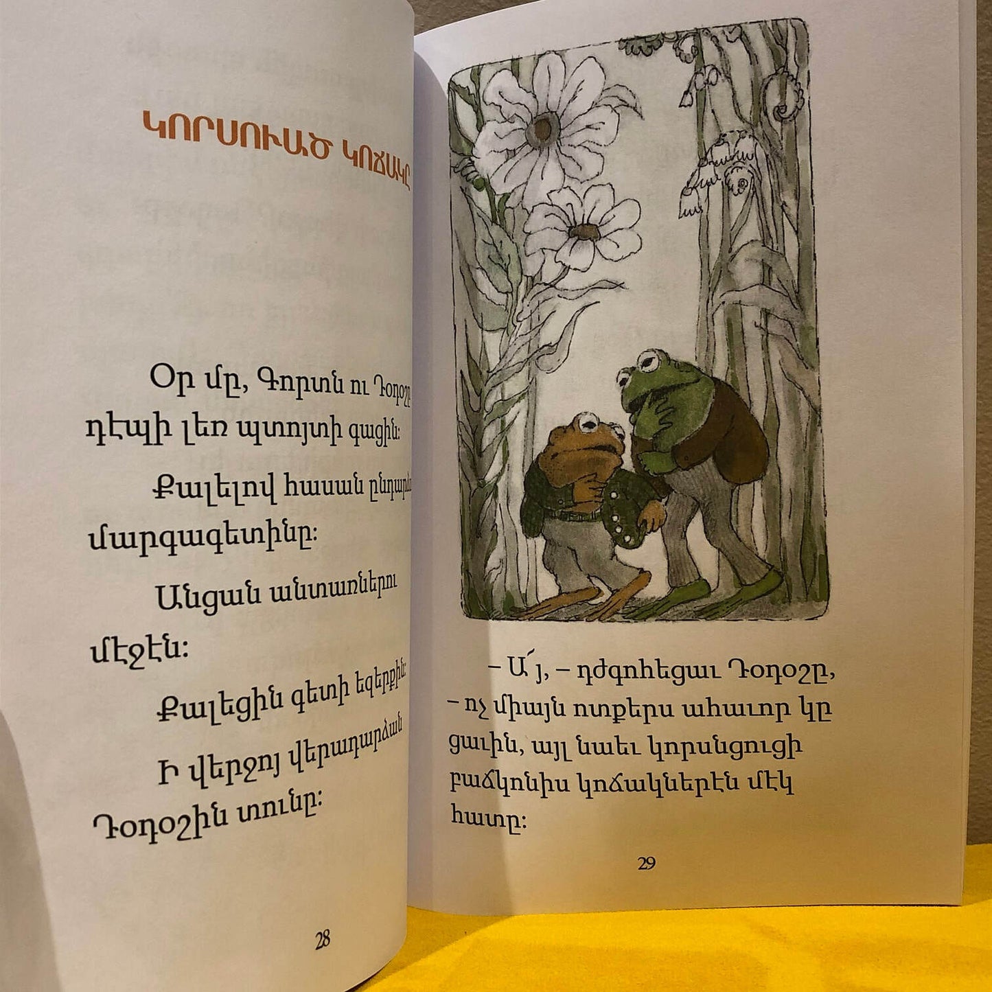 Kordn ou Totoshe Engerner En - Գորտն ու Դօդօշը Ընկերներ Են
