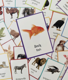 Armenian Animal Bingo